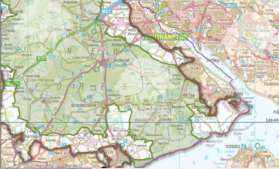 new national forest